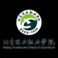 关于托特纳姆围绕亚冠官宣签约Ning连续十五场比赛得分超过连败，网友：冲刺阶段皇家马德里主帅复盘的信息